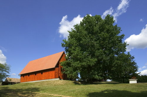 Ein Foto von Tamás Bujnovszky