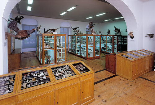 Ein Foto von Konrad Rainer