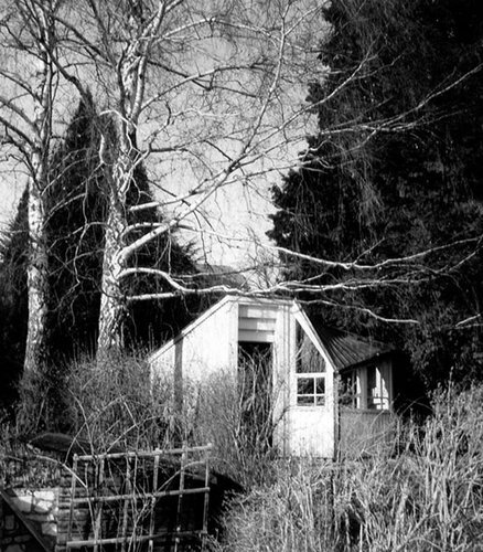 Ein Foto von Eva Rubin