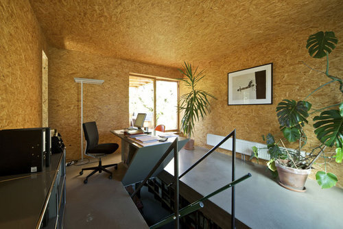 Ein Foto von Martin Steinthaler