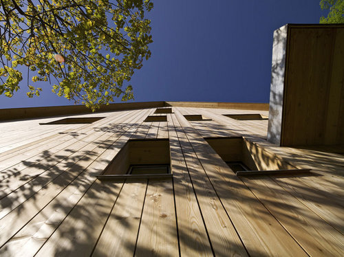 Ein Foto von Martin Steinthaler