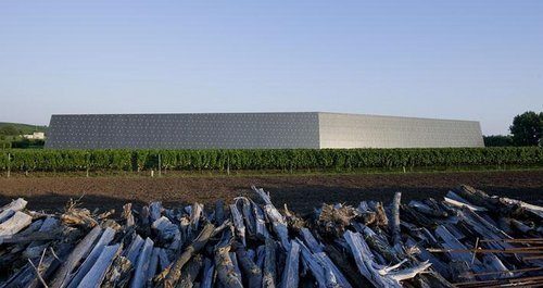 Ein Foto von Hertha Hurnaus