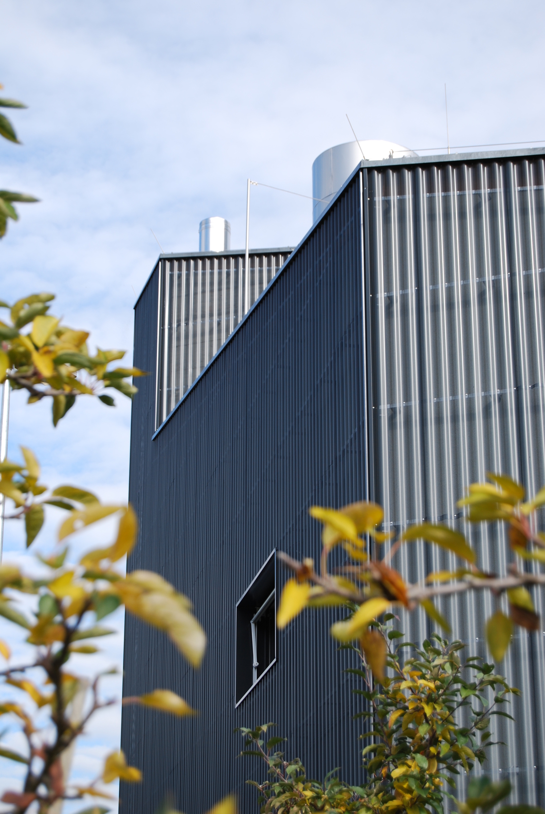 Ein Foto von Luca Canali