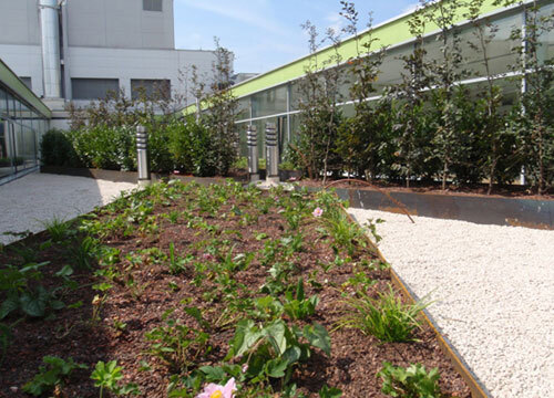 Ein Foto von idealice Landschaftsarchitektur