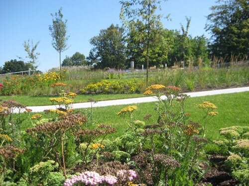 Ein Foto von idealice Landschaftsarchitektur