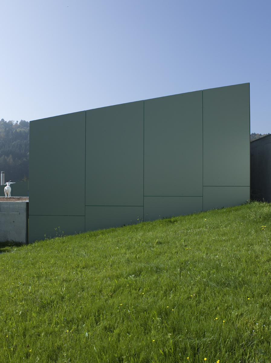 Ein Foto von Vito Stallone