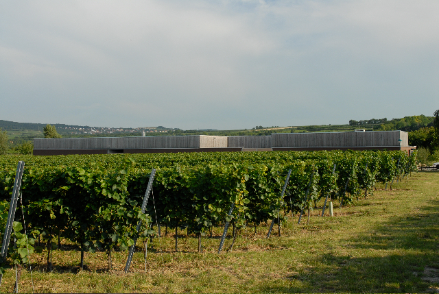 Ein Foto von Lukas Gnaiger