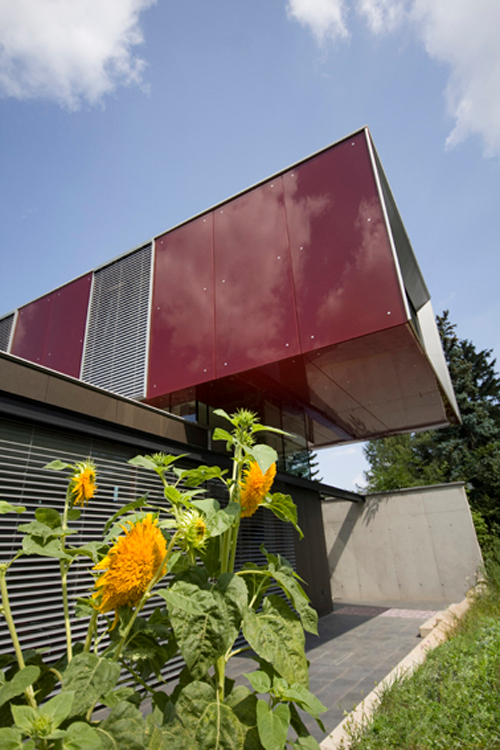 Ein Foto von Stefan Puschmann