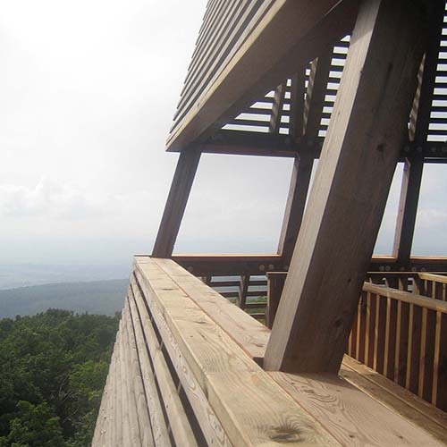 Ein Foto von Tamás Bujnovszky