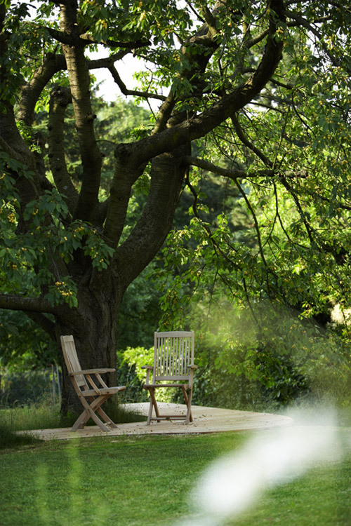 Ein Foto von Manfred Seidl