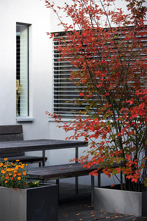 Ein Foto von Manfred Seidl