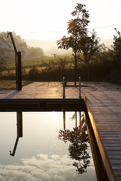 Ein Foto von Manfred Seidl