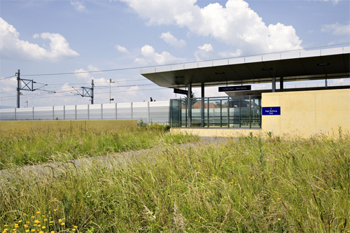 Ein Foto von Paul Ott