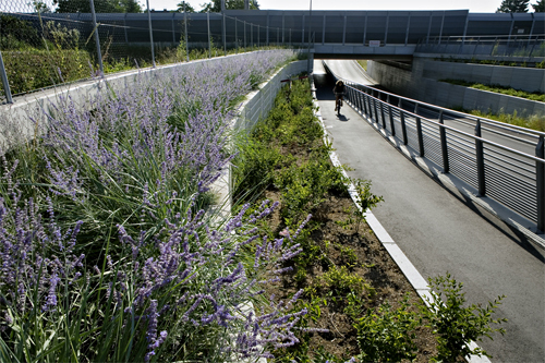 Ein Foto von Paul Ott