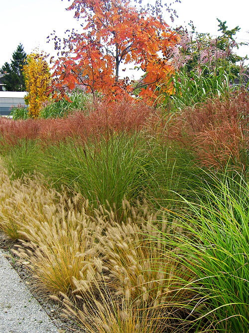 Ein Foto von 3:0 Landschaftsarchitektur