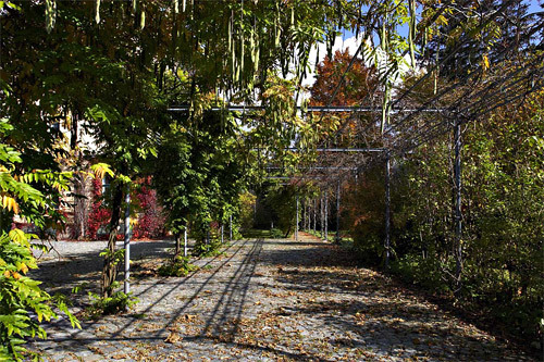 Ein Foto von Manfred Seidl