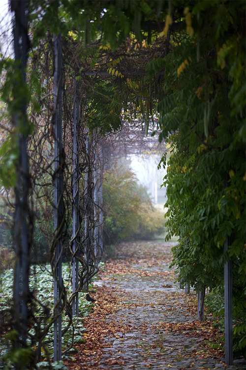 Ein Foto von Manfred Seidl