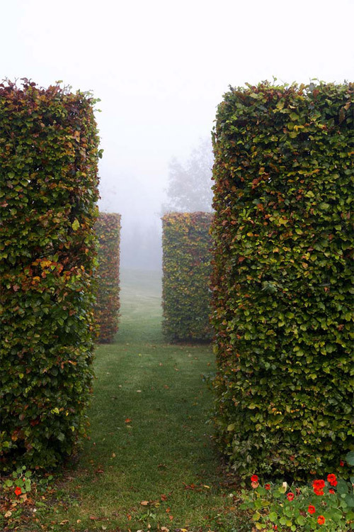 Ein Foto von Manfred Seidl