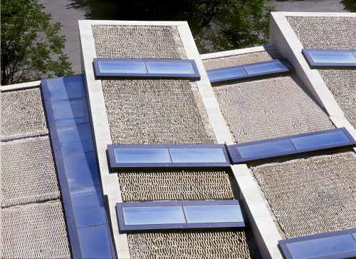 Ein Foto von Andrea Häider