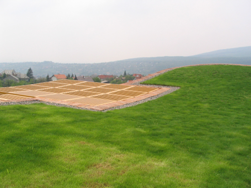 Ein Foto von Andrea Häider