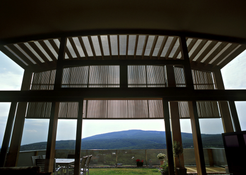 Ein Foto von Andrea Häider