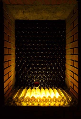 Ein Foto von László Tóth