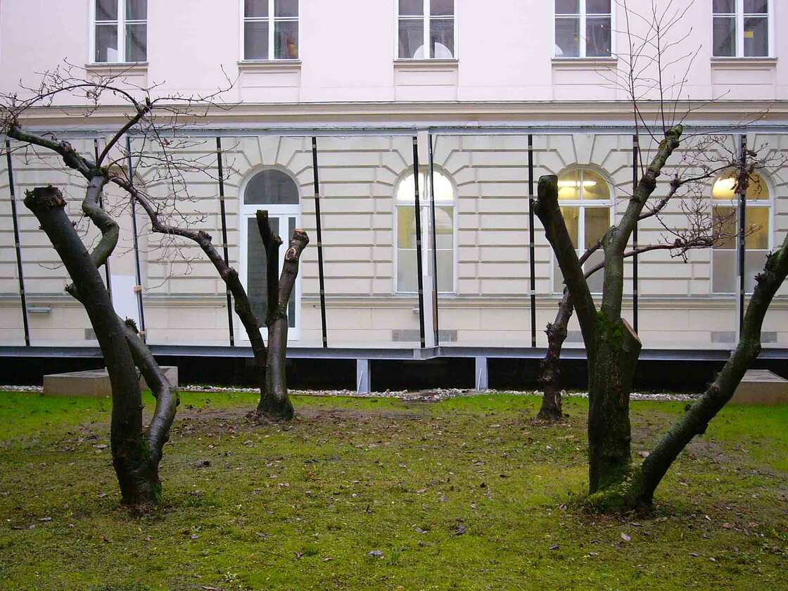 Ein Foto von Israel Schulz