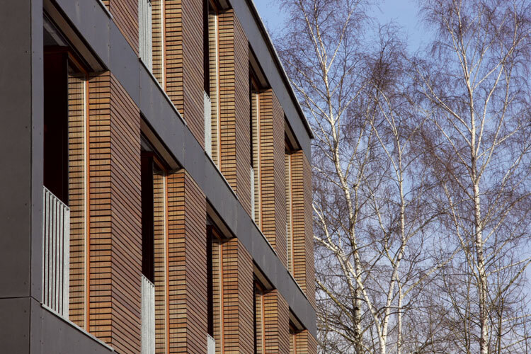 Ein Foto von Michael Amberg