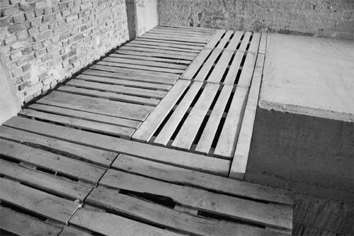 Ein Foto von Gergely Sztranyák