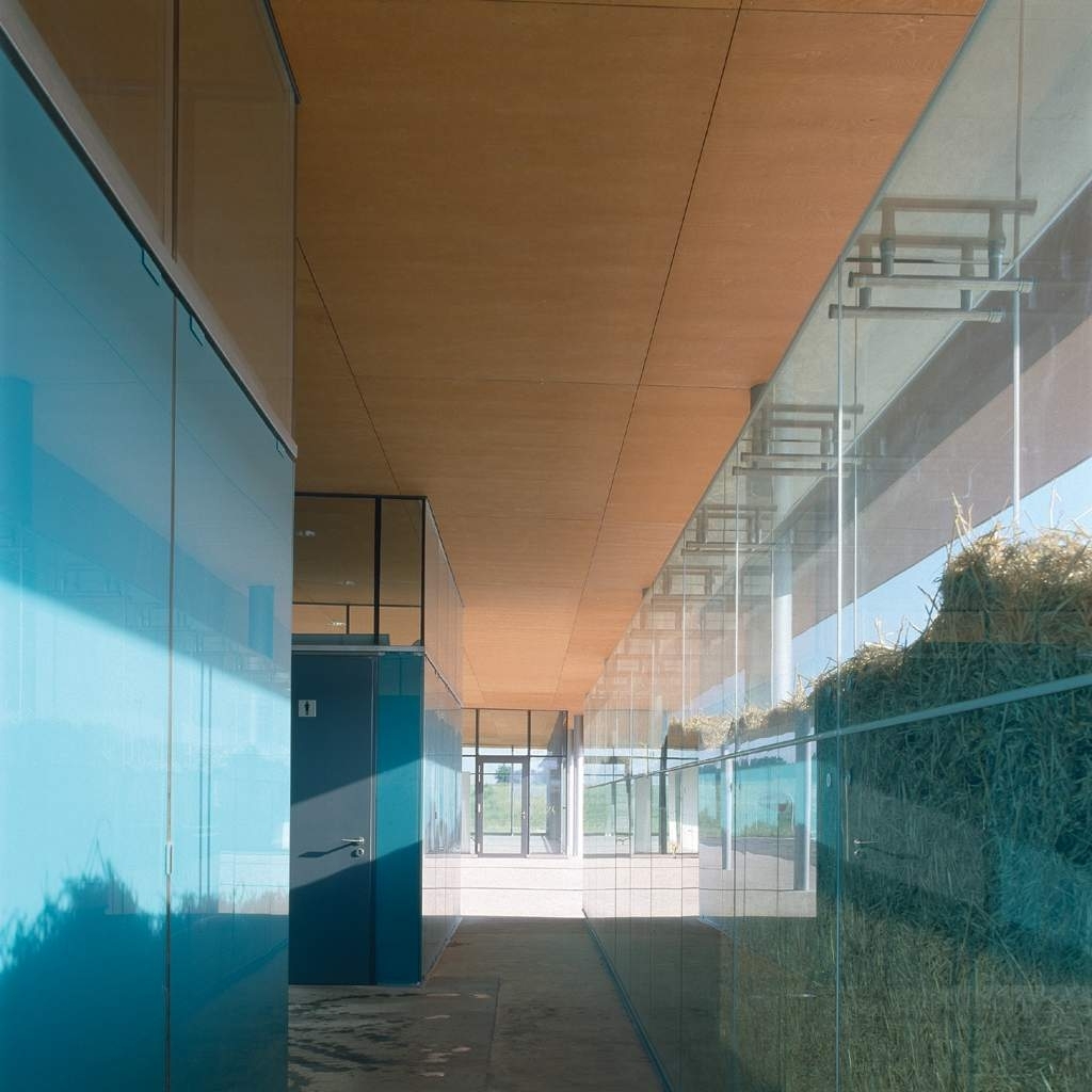 Ein Foto von Paul Ott