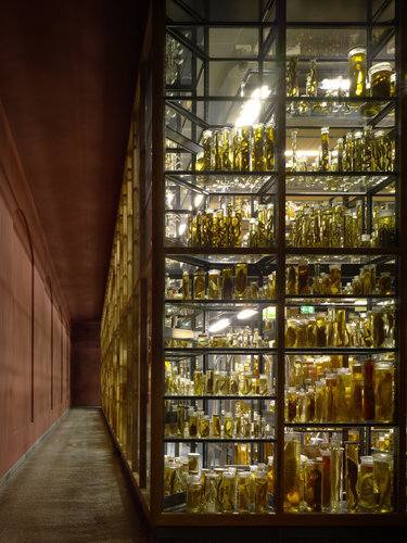 Ein Pressebild von Christian Richters