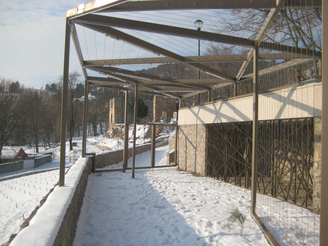 Ein Foto von Márton Dévényi