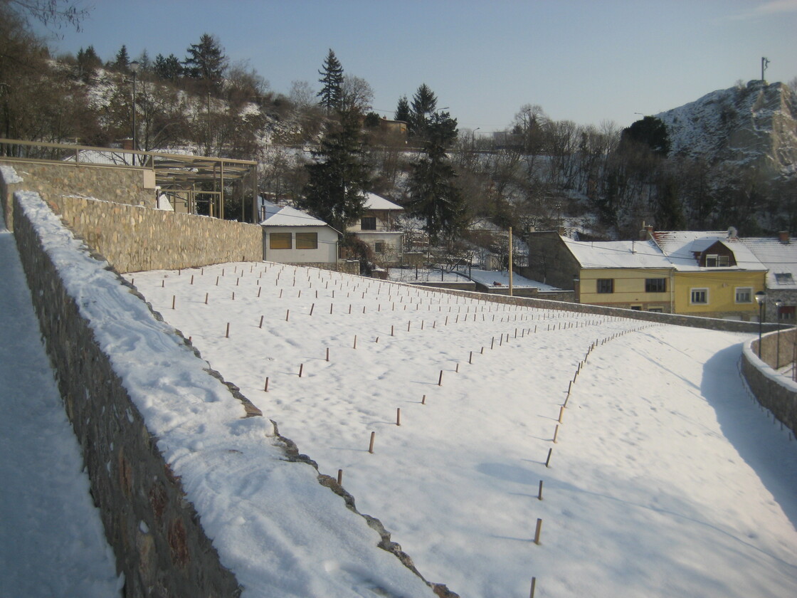 Ein Foto von Márton Dévényi