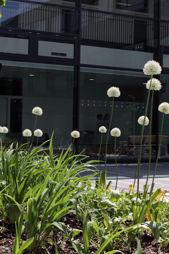 Ein Foto von Gisela Erlacher