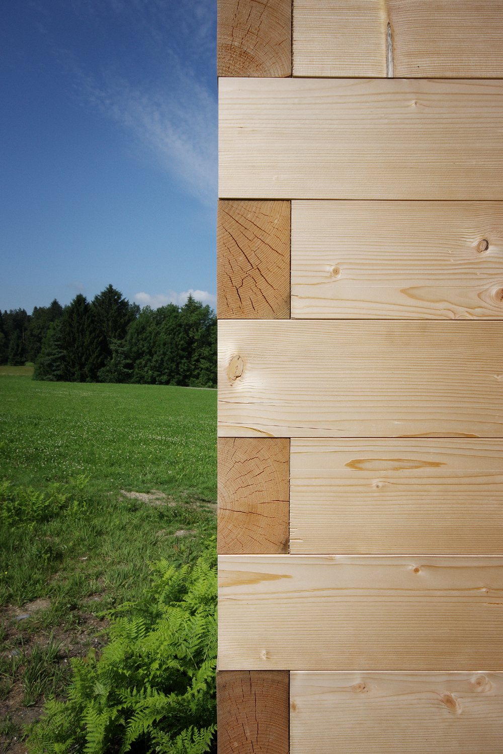 Ein Foto von Norman Radon