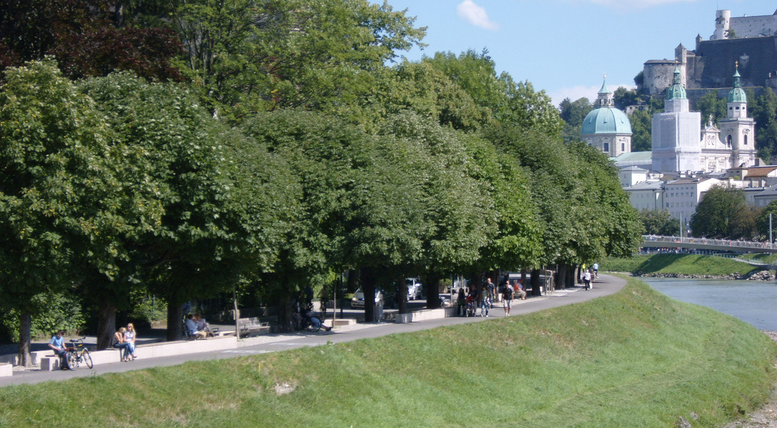 Ein Foto von Harry Dobrzanski