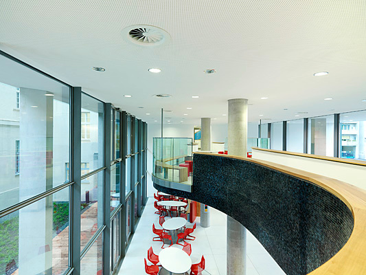 Ein Foto von Paul Ott