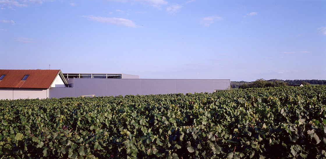 Ein Foto von Paul Ott