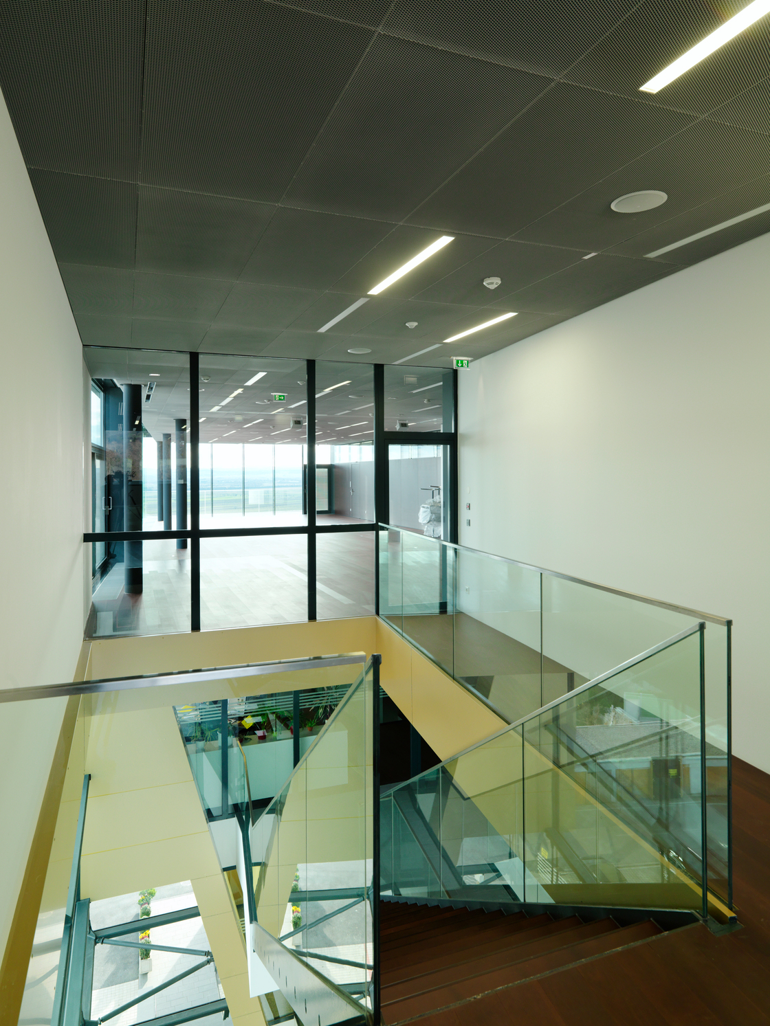 Ein Foto von Paul Ott