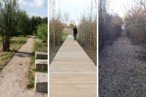 Ein Foto von Max Imre