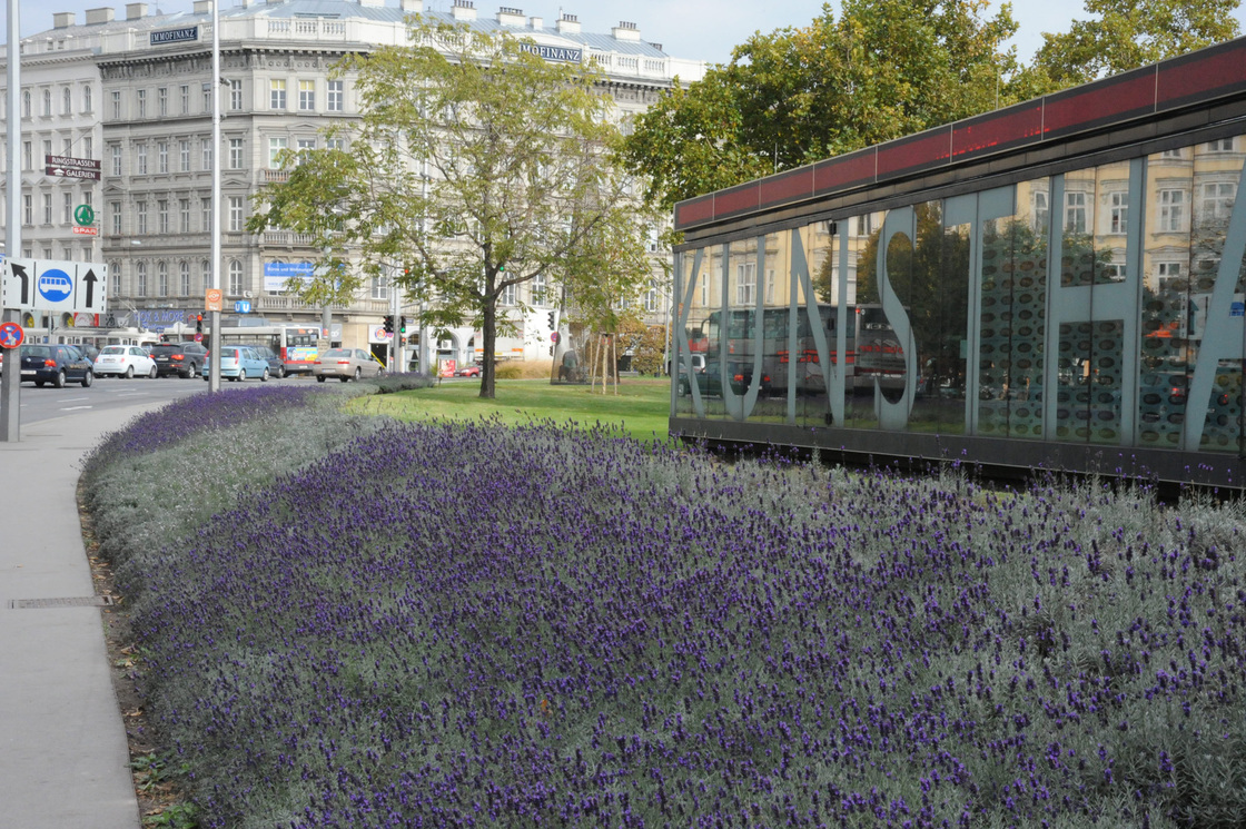 Ein Foto von Gernot Dessovic