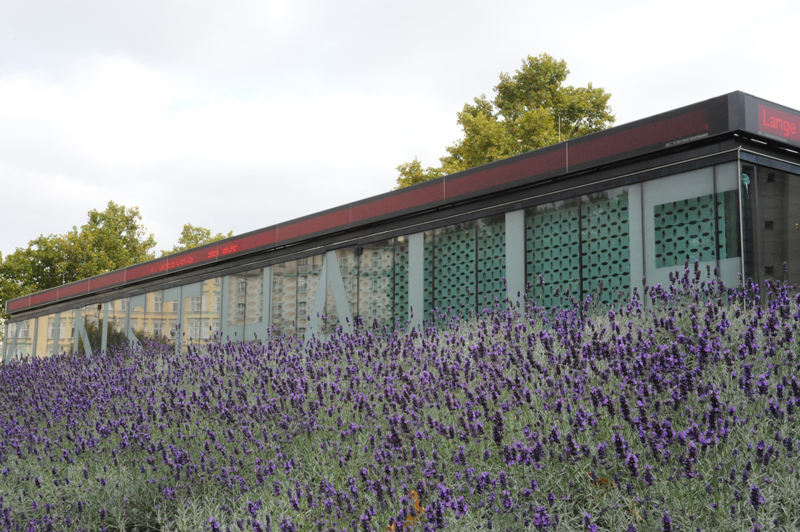 Ein Foto von Gernot Dessovic