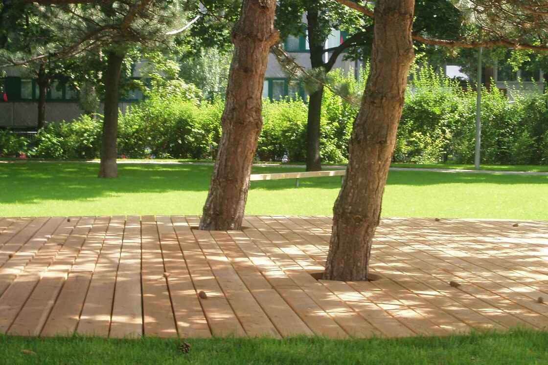 Ein Foto von Land in Sicht