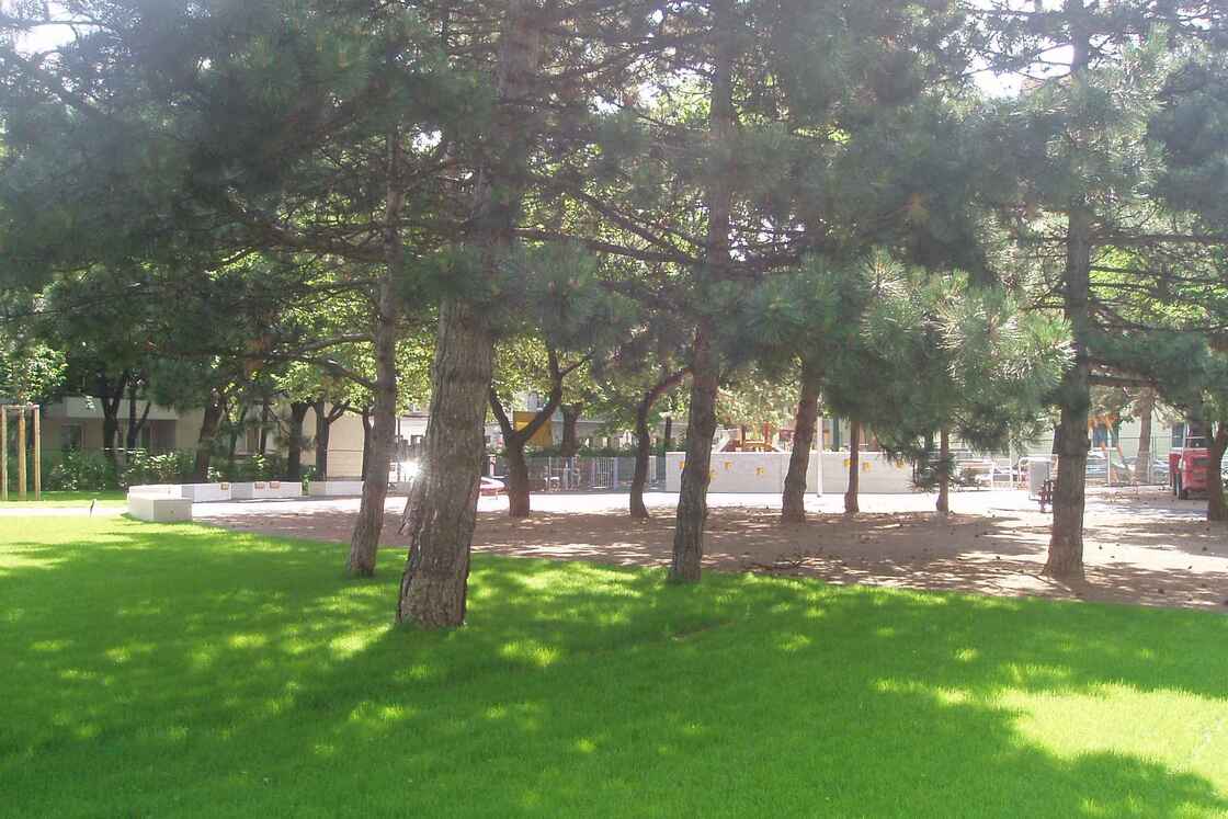 Ein Foto von Land in Sicht