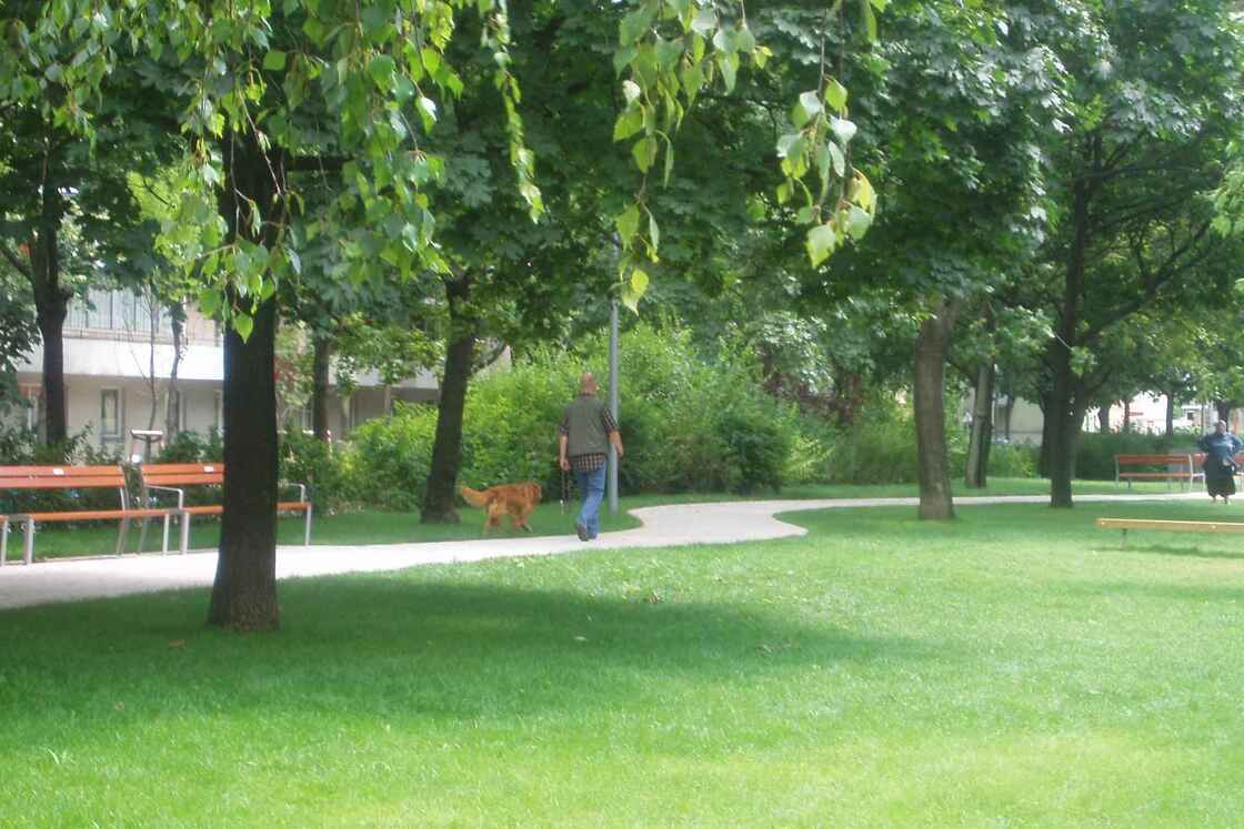 Ein Foto von Land in Sicht