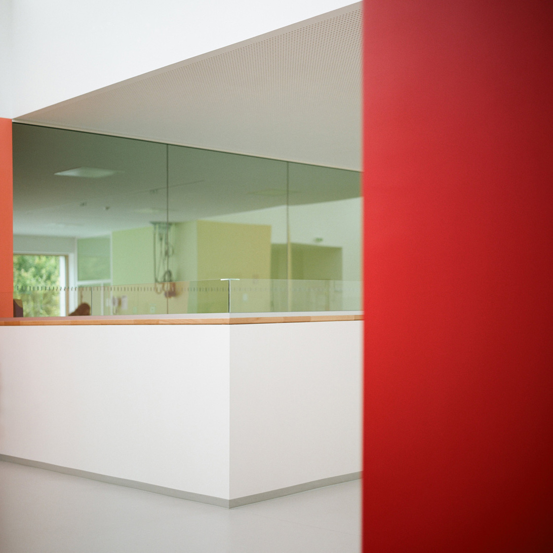 Ein Foto von Petra Rainer