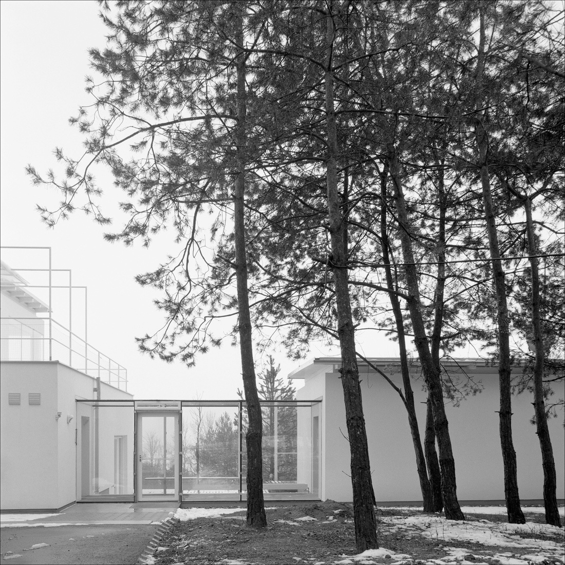 Ein Foto von Paul Ott