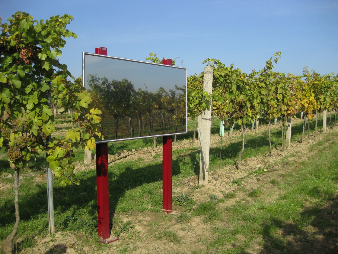 Ein Foto von Karl Grimm