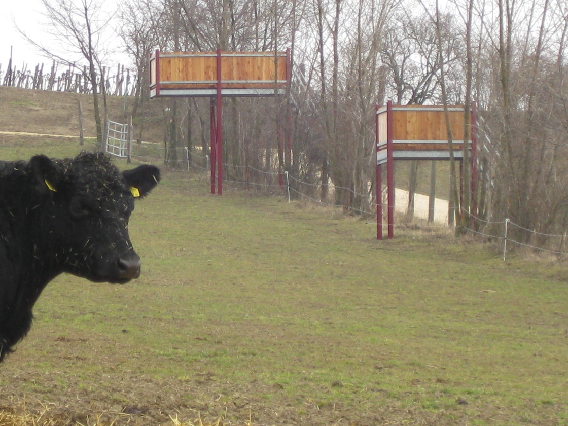 Ein Foto von Karl Grimm