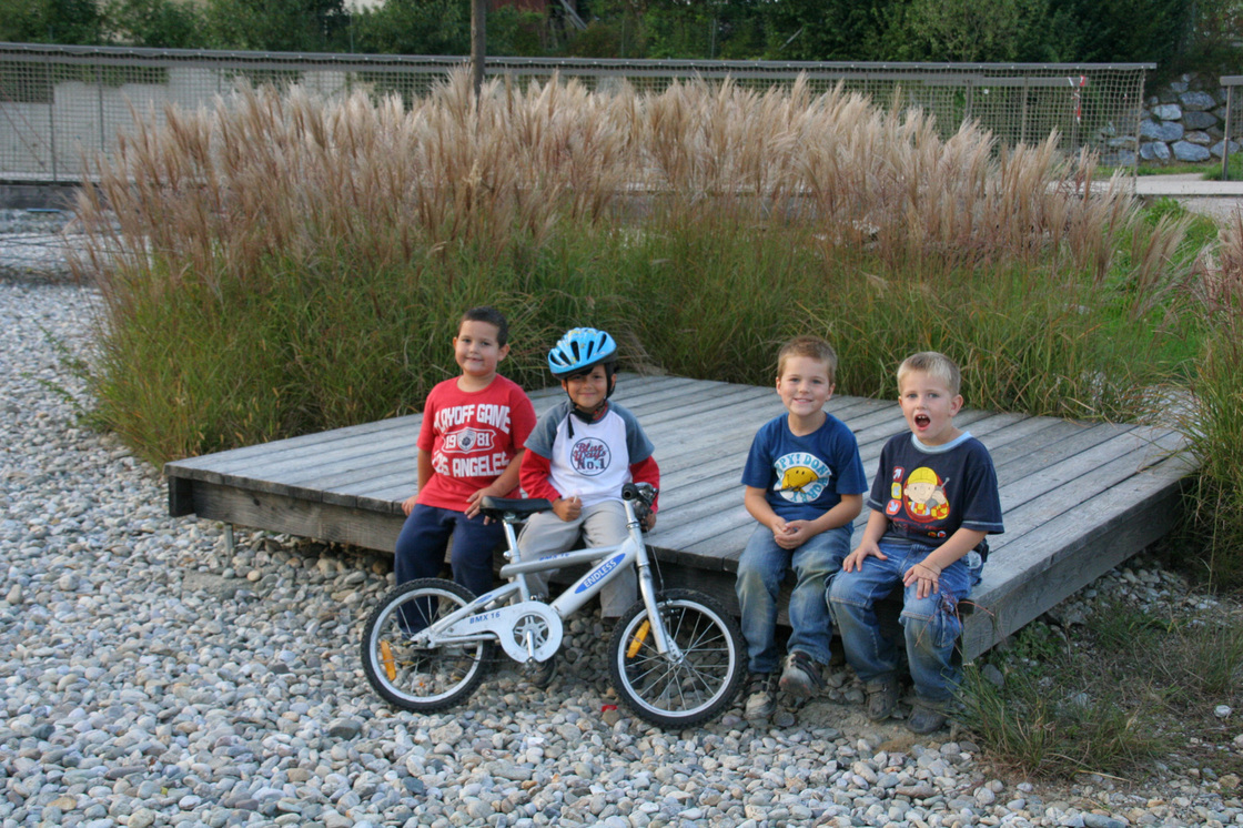 Ein Foto von Monsberger Gartenarchitektur